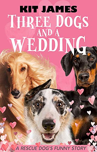 Three Dogs And A Wedding: A Rescue Dog's Funny Story