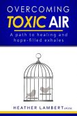 Overcoming Toxic Air A Heather Lambert