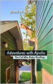 Adventures with Apollo Cat Brenda DeHaan