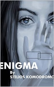 Enigma novel