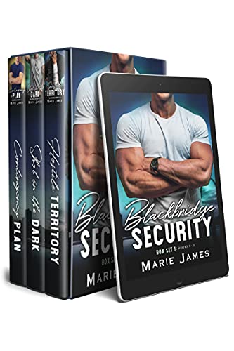 Blackbridge Security Box Set 1