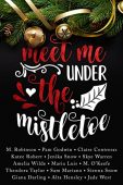 Meet Me Under Mistletoe Pam Godwin