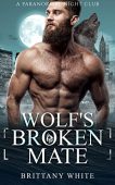 Wolf's Broken Mate Brittany White