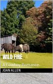 Wild Fire A Cowboy Joan Allen 