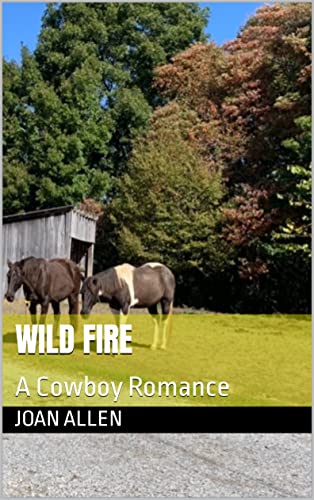 Wild Fire: A Cowboy Romance 