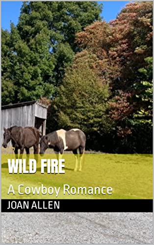 Wild Fire A Cowboy Joan Allen  