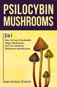 Psilocybin Mushrooms 3 in Bil Harret