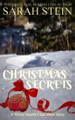 Christmas Secrets Sarah  Stein