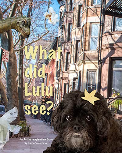 What Did Lulu See?