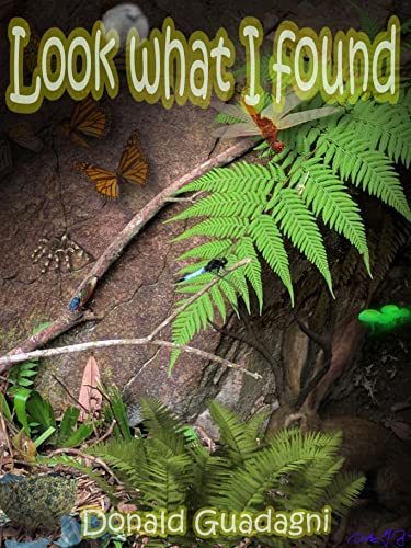 Look what I found (Whimsical safaris and adventures Book 1)