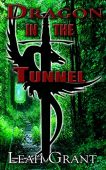 Dragon In Tunnel Leah Grant