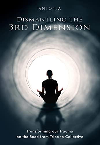 Dismantling the 3rd Dimension: Transforming our Trauma on the Road from Tribe to Collective