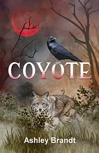 Coyote Ashley Brandt