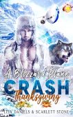 A Blizzard Plane Crash Lisa Daniels
