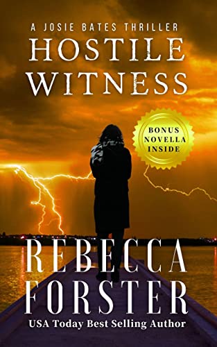 Hostile Witness Rebecca Forster hh