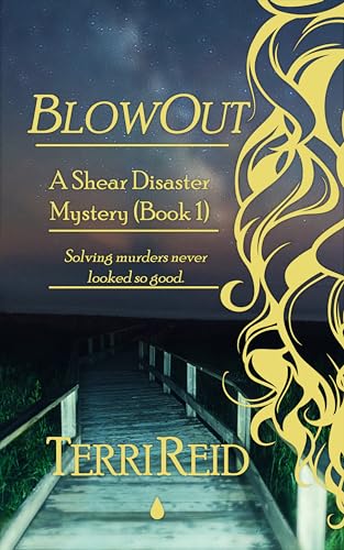 BlowOut - A Shear Disaster Mystery