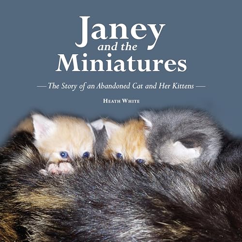Janey and the Miniatures