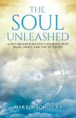 Soul Unleashed A Left-Brained Mike Nicholas