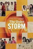 Quiet Storm A Historical Amani Roberts