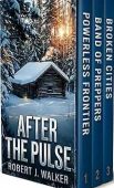 After the Pulse Robert J. Walker