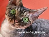 Caught in a Cat Airie McCready